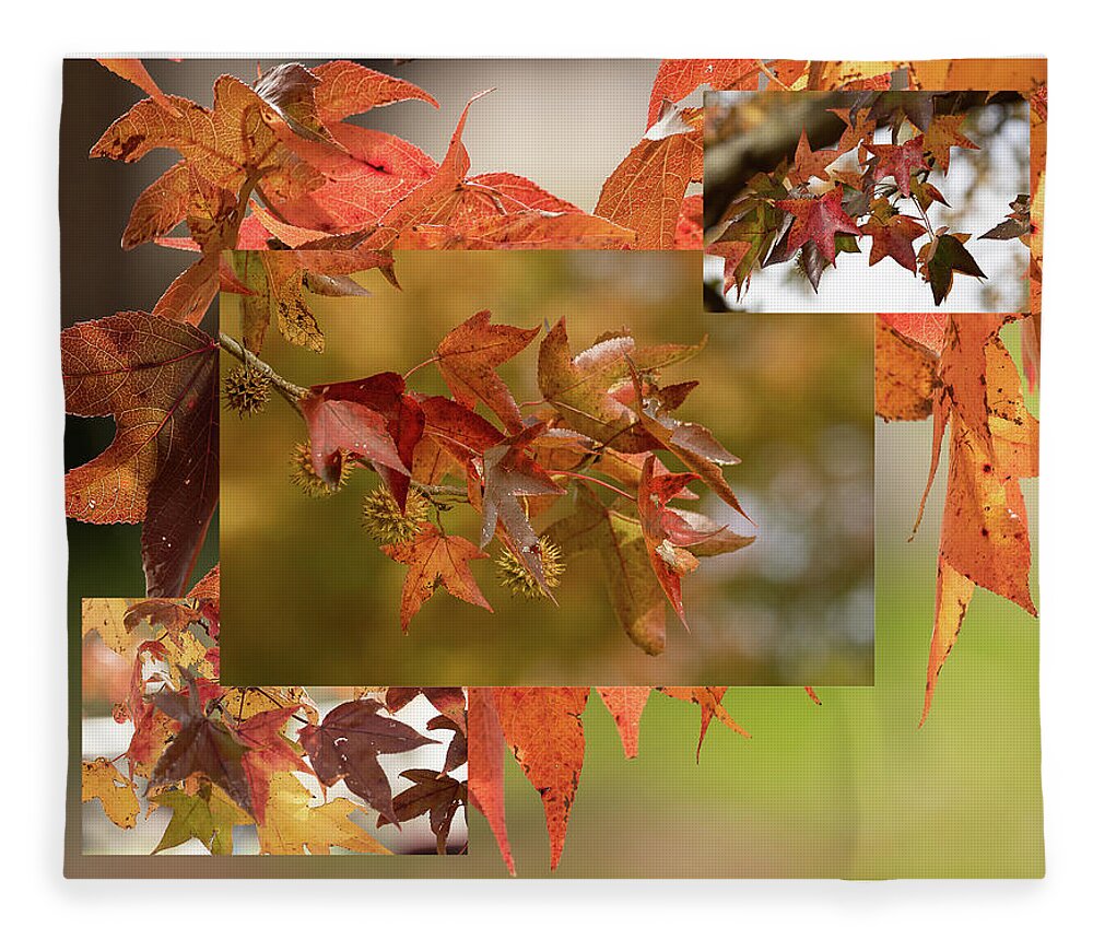 Fall Fleece Blanket featuring the photograph Fall Leaves by Dorothy Cunningham