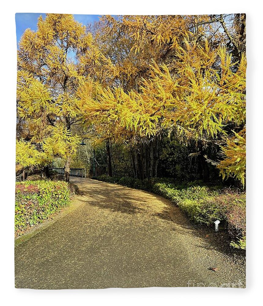 Gene Coulon Memorial Park Fleece Blanket featuring the photograph Fall Walk by Suzanne Lorenz