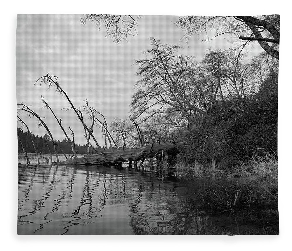 Salmon River Fleece Blanket featuring the photograph Fallen Tree at the Mouth of the Salmon River by John Parulis