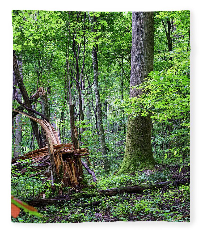 Tree Fleece Blanket featuring the digital art Fallen Tree by Phil Perkins