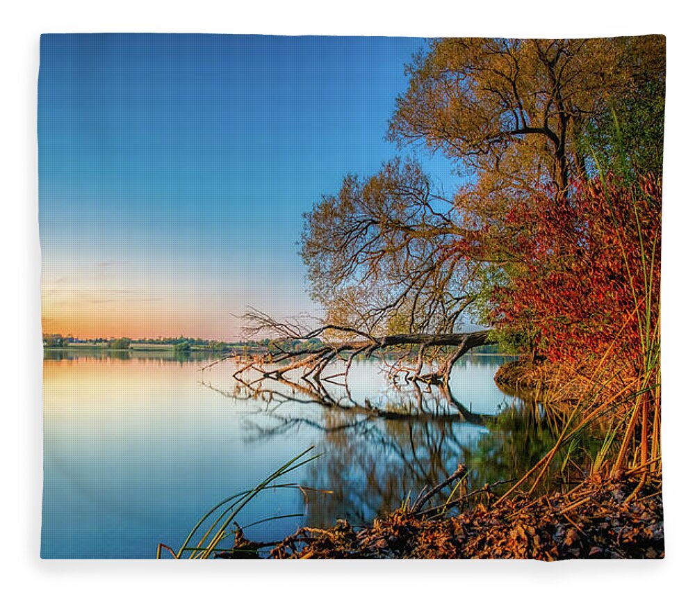 Trees Fleece Blanket featuring the photograph Fallen Tree Reflection by Dee Potter