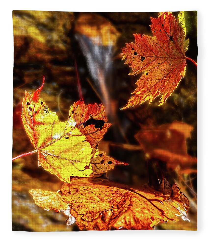 Autumn Fleece Blanket featuring the photograph Falling Leaves Fall Colors by Dan Carmichael