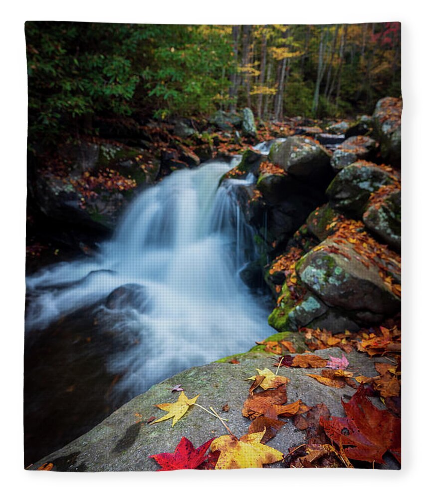 Fall Colors Fleece Blanket featuring the photograph Falls in the fall by Darrell DeRosia