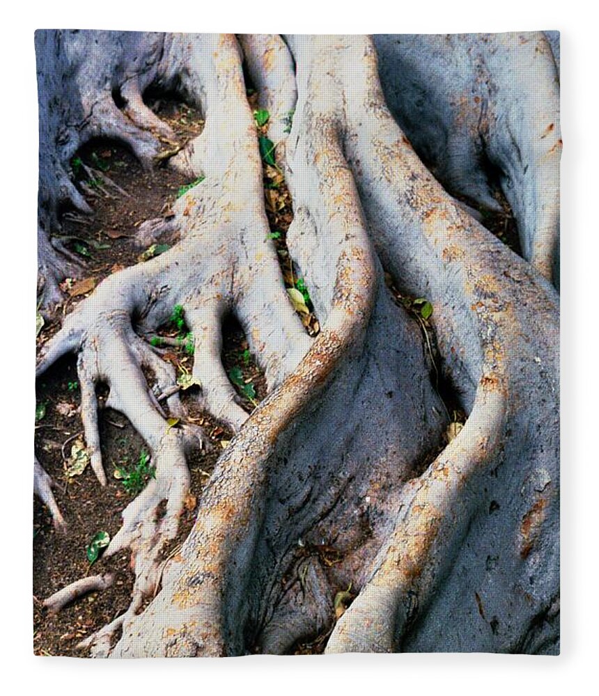 Tree Roots Fleece Blanket featuring the photograph Family Bonds by Kerry Obrist