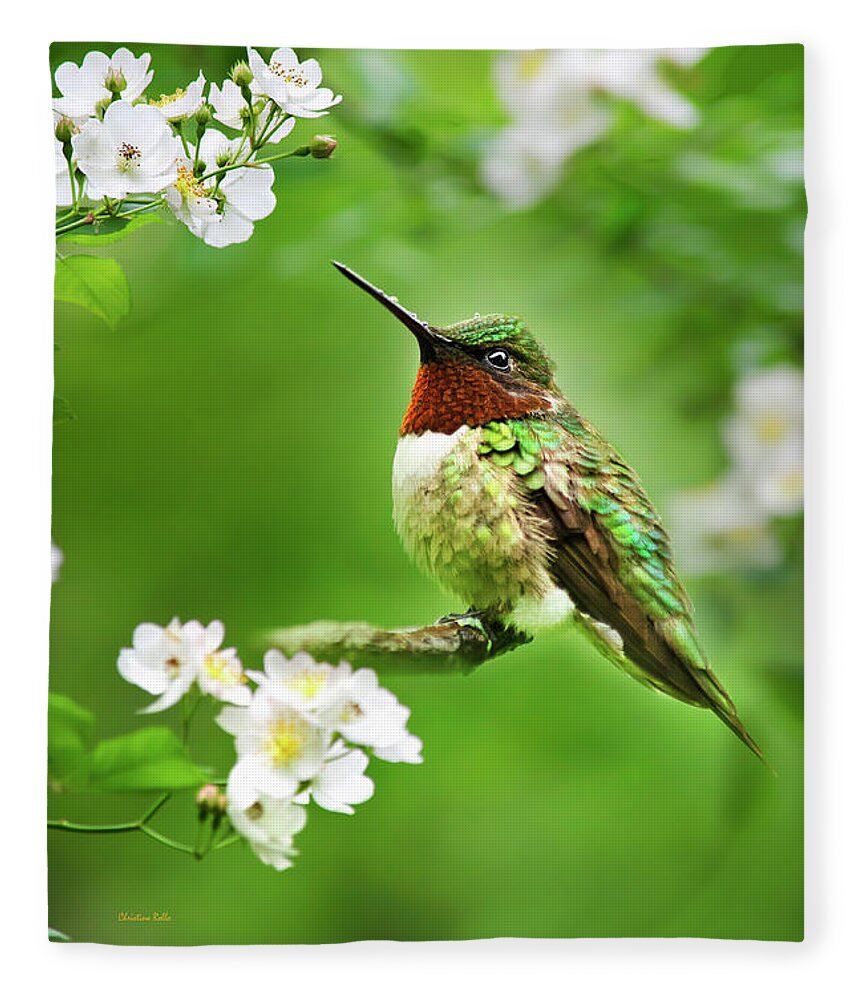 Hummingbird Fleece Blanket featuring the photograph Fauna and Flora - Hummingbird with Flowers by Christina Rollo