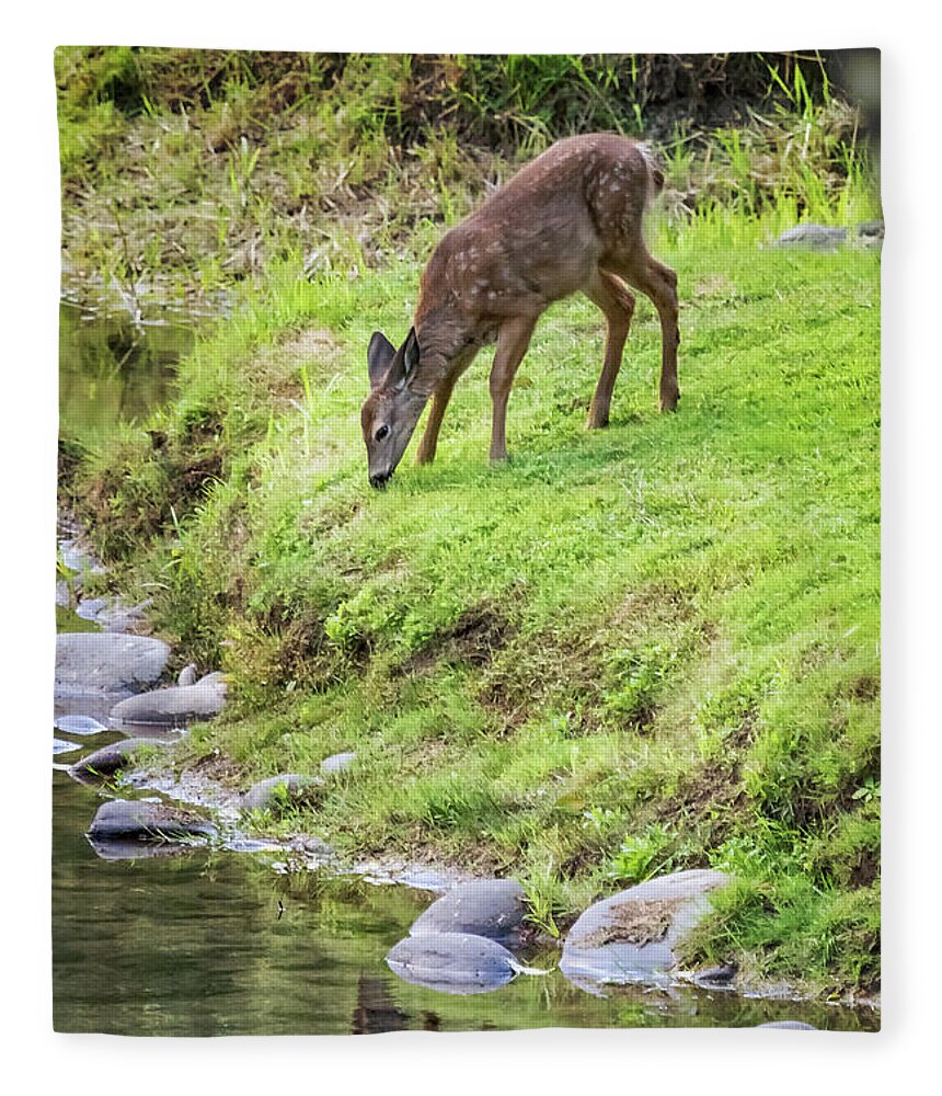 Fawn Fleece Blanket featuring the photograph Fawn on the McKenzie, No. 5 by Belinda Greb