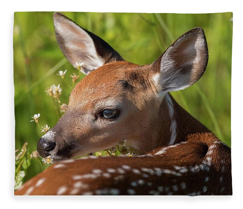 Flowering Fleece Blanket featuring the photograph Fawn over the Shoulder by Liza Eckardt