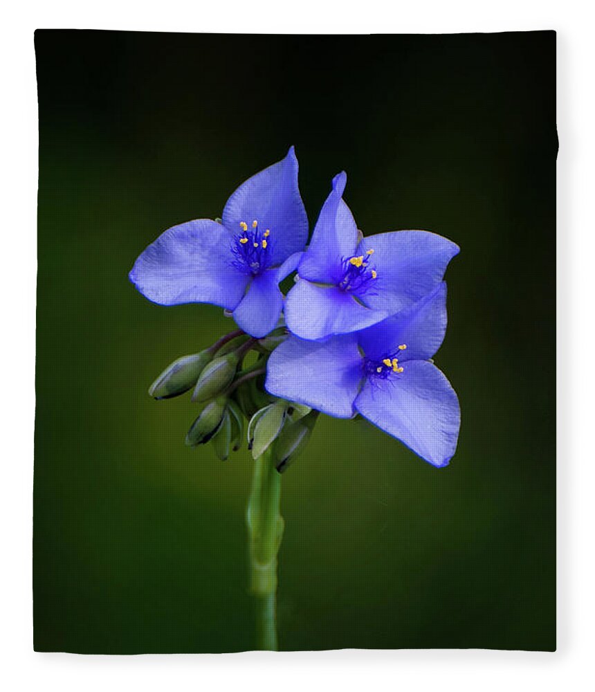 Nature Fleece Blanket featuring the photograph Feeling Blue by Linda Shannon Morgan