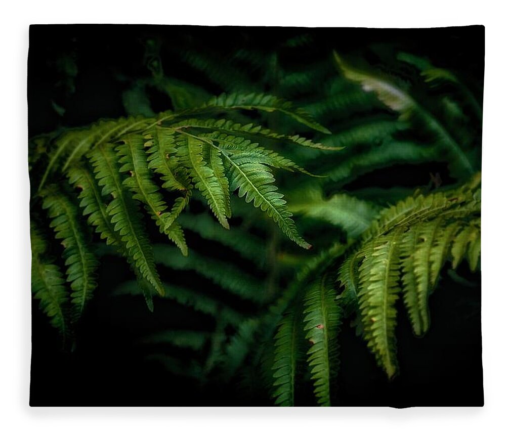 Ferns Fleece Blanket featuring the photograph Ferns by RicharD Murphy