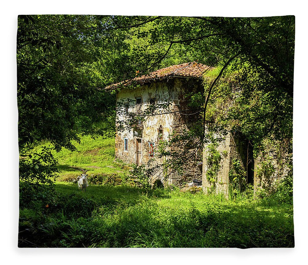 Old House Fleece Blanket featuring the photograph Ferriera de Olazarra - Artzubi forest by Micah Offman
