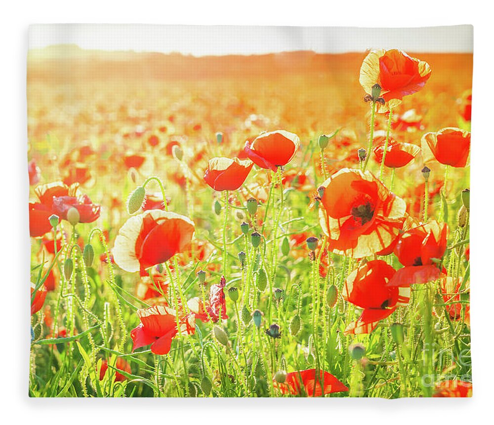 Remembrance Day Fleece Blanket featuring the photograph Field Of Poppy Flowers by Anastasy Yarmolovich
