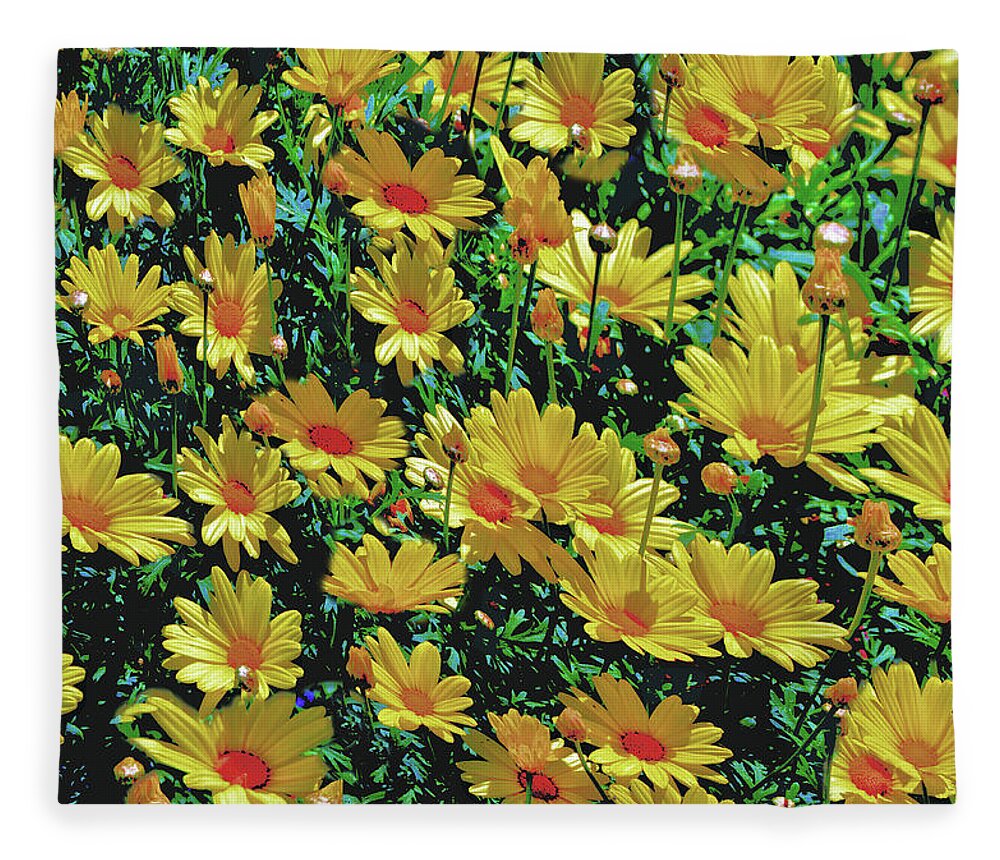 Daisies Fleece Blanket featuring the photograph Field of Yellow by Debra Kewley