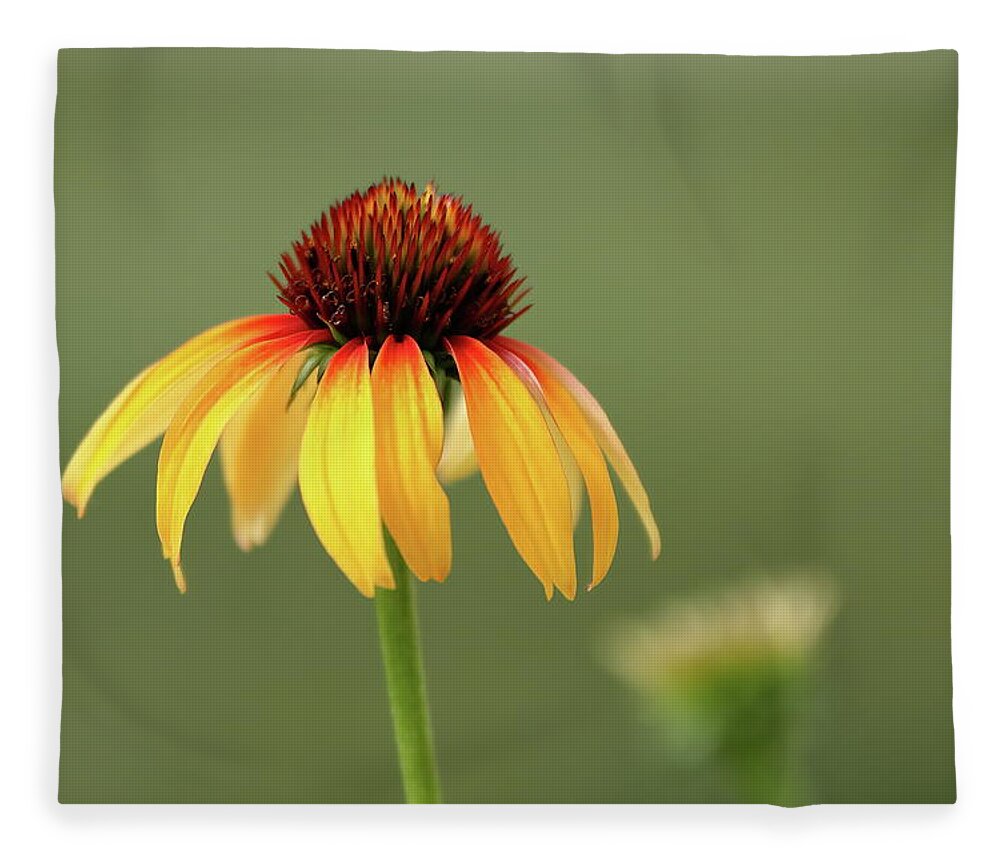 Coneflower Fleece Blanket featuring the photograph Fiery Coneflower by Lens Art Photography By Larry Trager