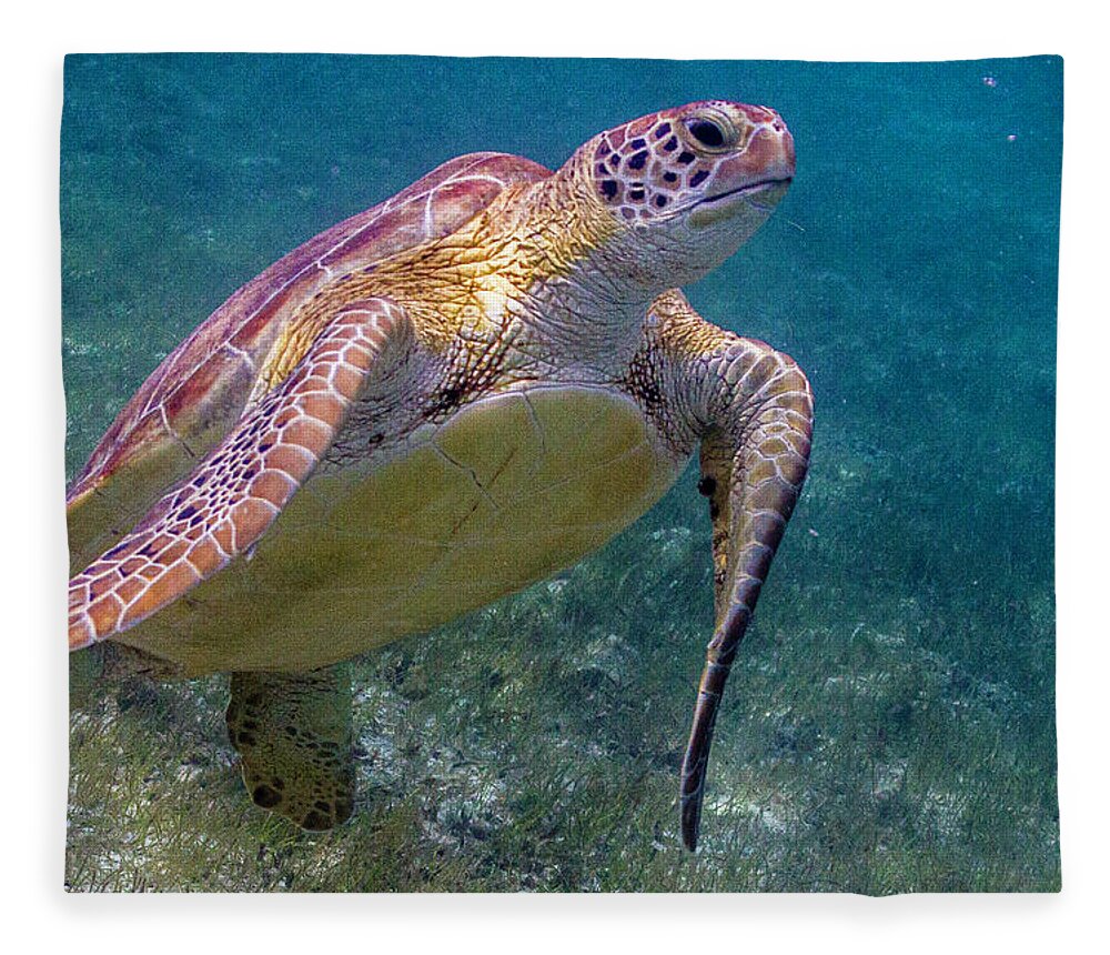 Animals Fleece Blanket featuring the photograph Fine Art of Surfacing by Lynne Browne