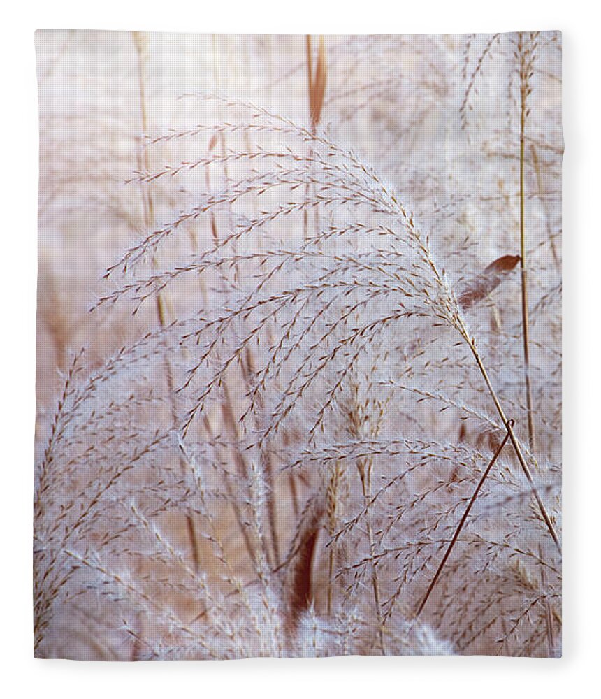 Idyllic Fleece Blanket featuring the photograph Fine grass with flares. by Bernhard Schaffer