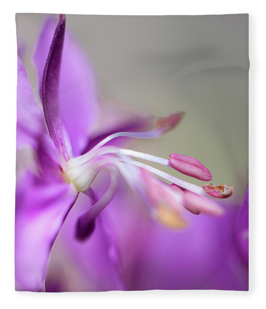 Fireweed Fleece Blanket featuring the photograph Fireweed Close Up by Karen Rispin