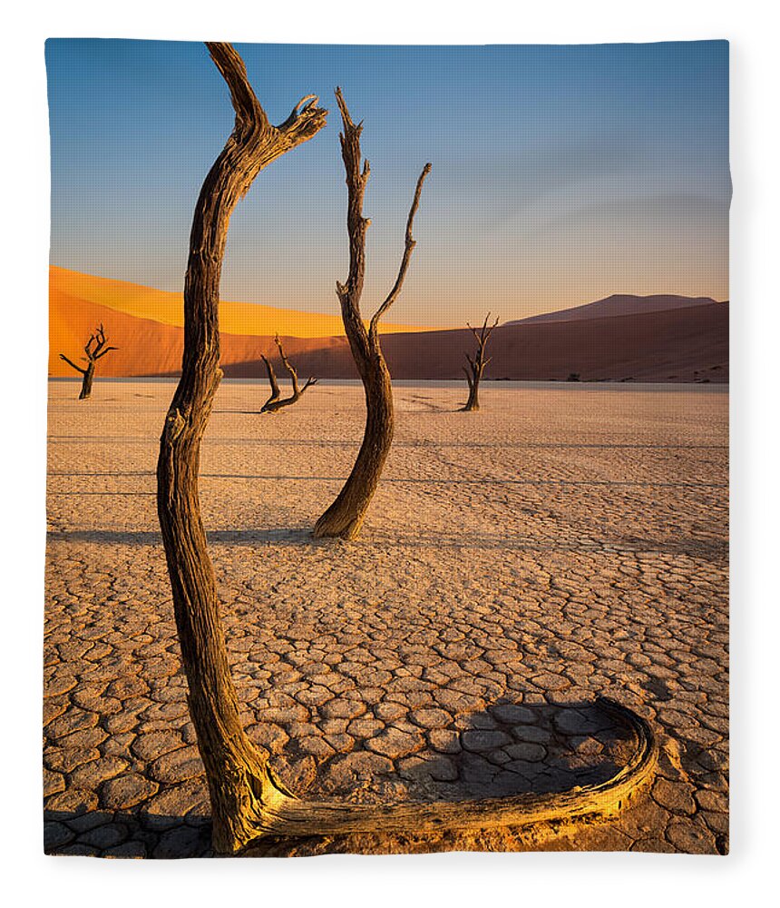 Camel Thorn Trees Fleece Blanket featuring the photograph Five Graces by Peter Boehringer