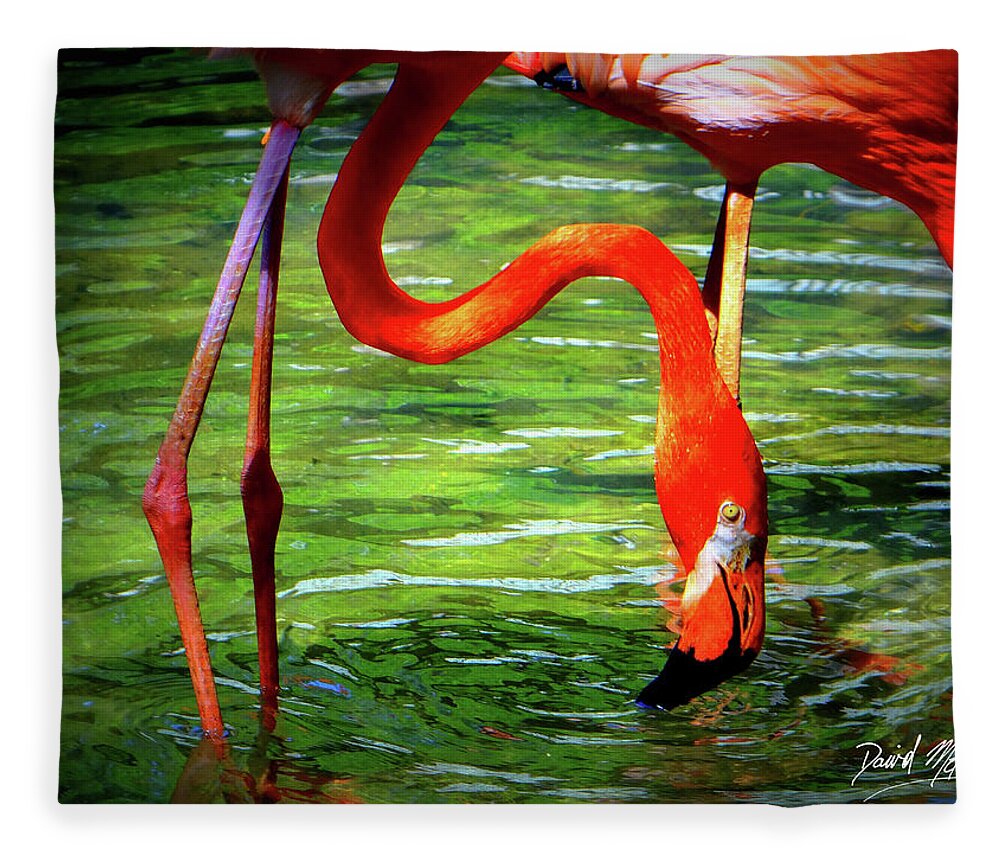 Flamingo Fleece Blanket featuring the photograph Flamingo by David McKinney