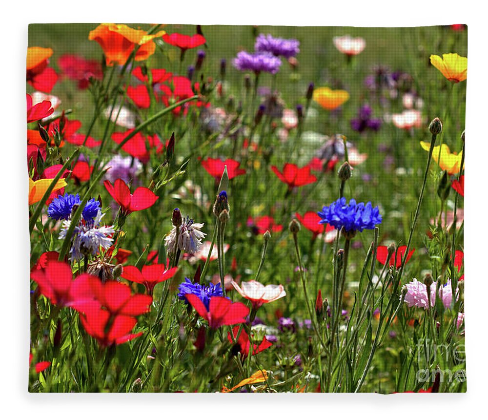Flower Fleece Blanket featuring the photograph Flax Summer Meadow by Stephen Melia