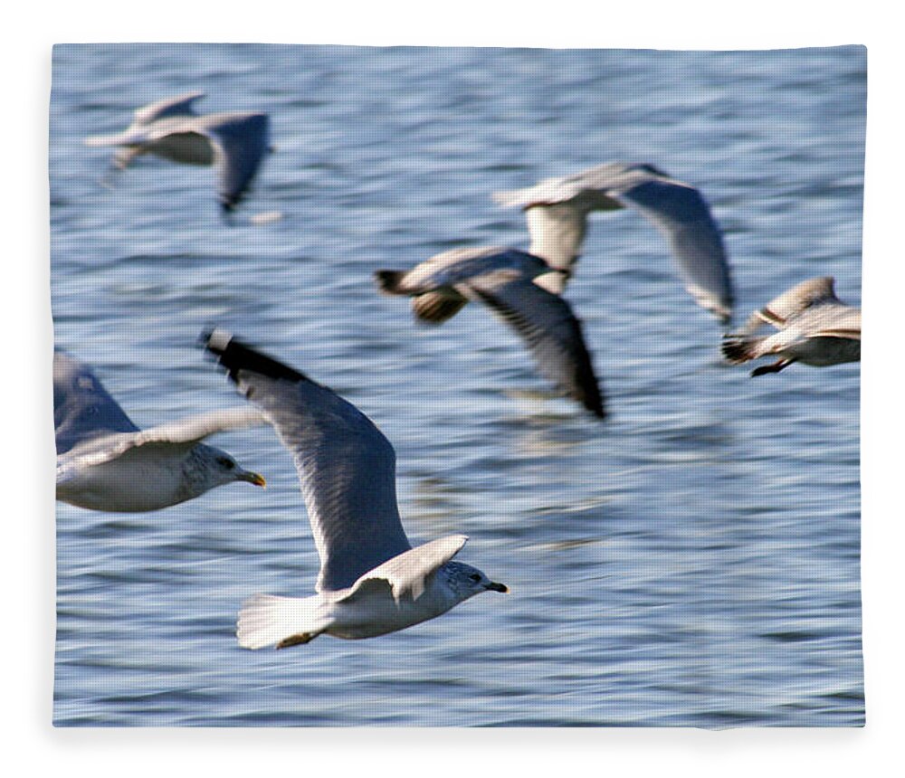Sea Gulls Fleece Blanket featuring the photograph Flight by Rich S