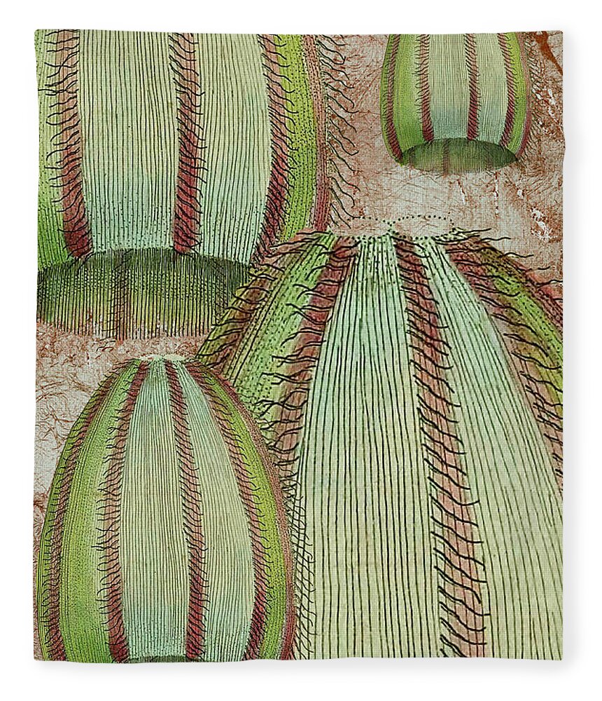 Sea Plants Fleece Blanket featuring the mixed media Floating sea plants by Lorena Cassady
