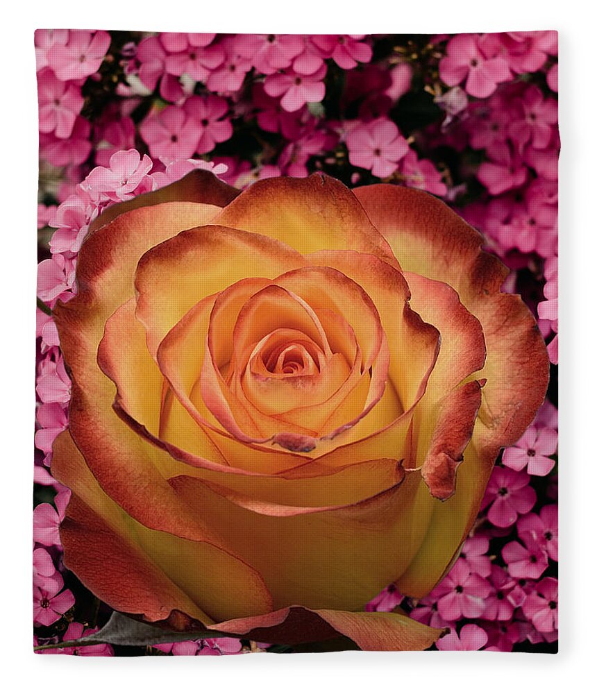 A Yellow Rose Fleece Blanket featuring the digital art Floral-D by Hank Gray