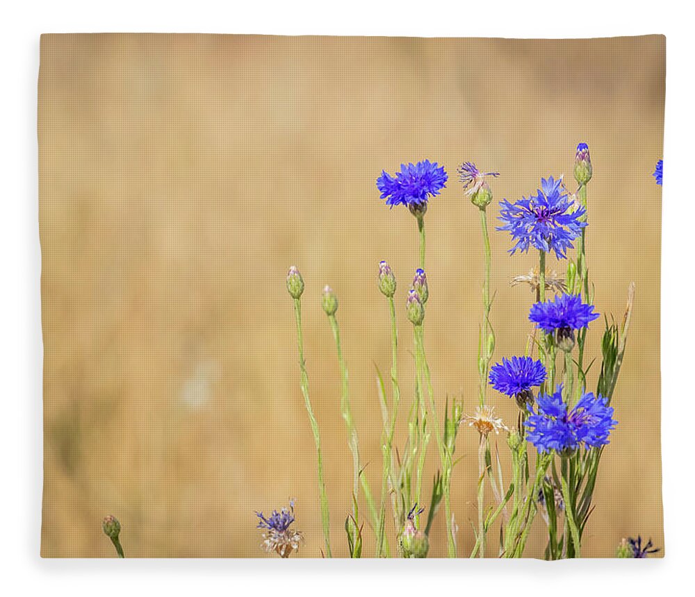 Flowers Blue Flowers Blossoms Bouquet Bachelor Buttons Wildflowers Nature Floral Bunch Of Flowers Plants Fragrance Blooms Flowering Blossoming Flourishes Fleece Blanket featuring the photograph Florescence by Laura Putman