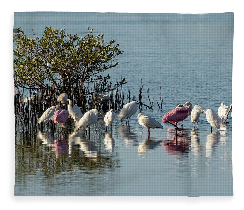 Florida Birds Fleece Blanket featuring the photograph Florida Birds and Mangrove Bush by Dorothy Cunningham