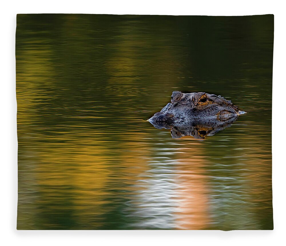 Aligator Fleece Blanket featuring the photograph Florida Gator 4 by Larry Marshall