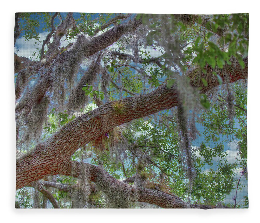 Florida Fleece Blanket featuring the photograph Florida Woods by Richard Goldman