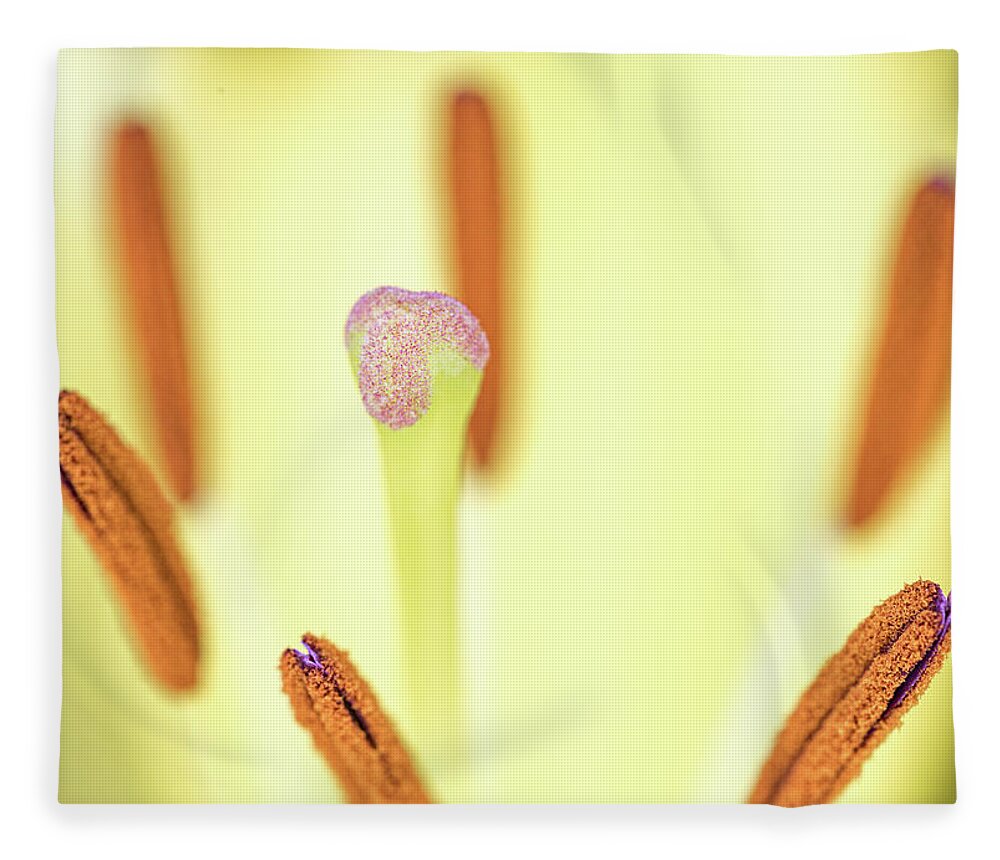Flower Fleece Blanket featuring the photograph Flower Close Up by Amelia Pearn