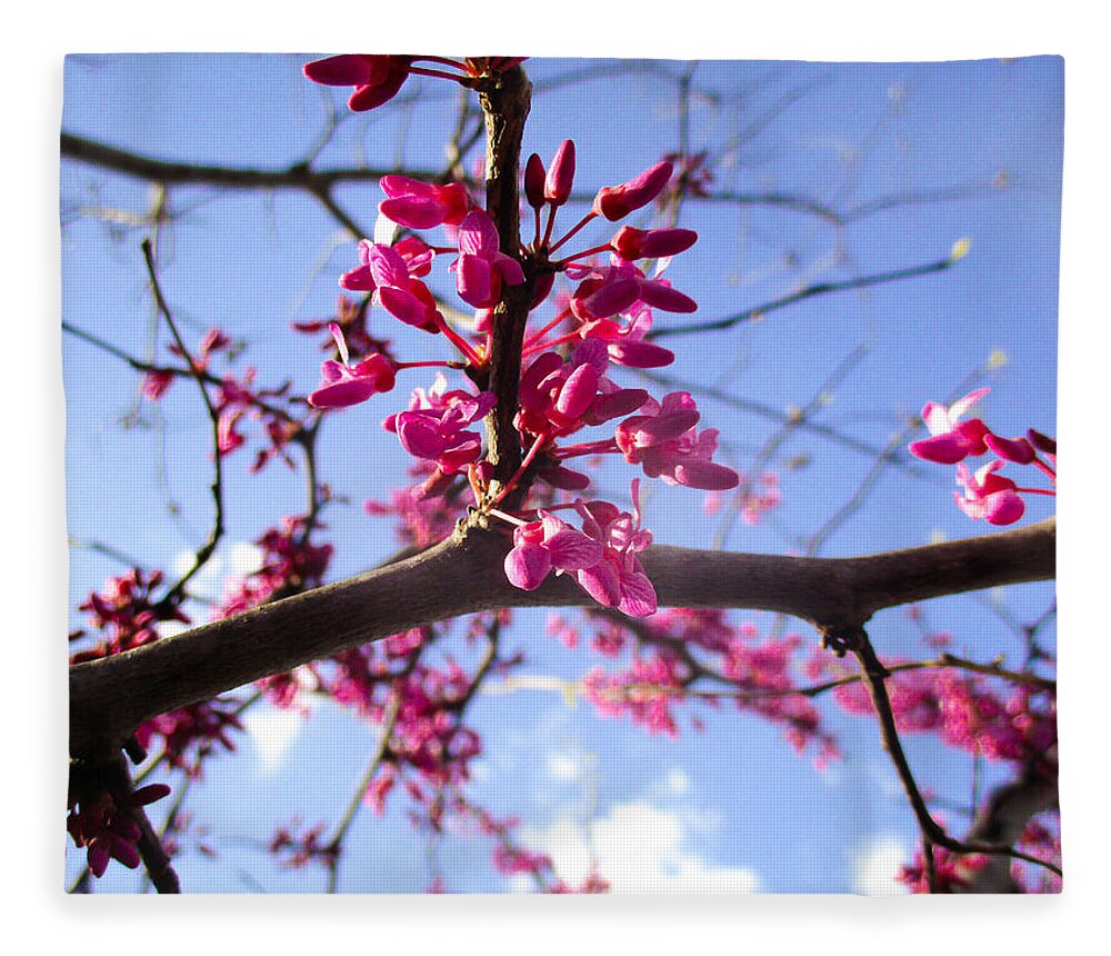 Texas Fleece Blanket featuring the photograph Flowering Redbud by W Craig Photography