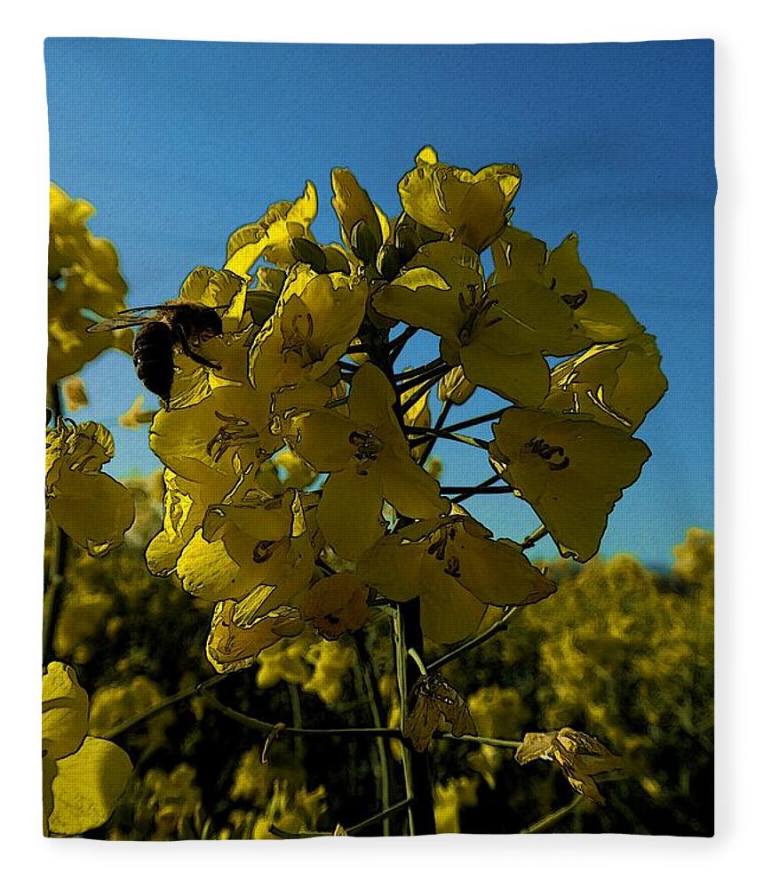 Digital Art Fleece Blanket featuring the photograph Flowers of colza 2 by Jean Bernard Roussilhe
