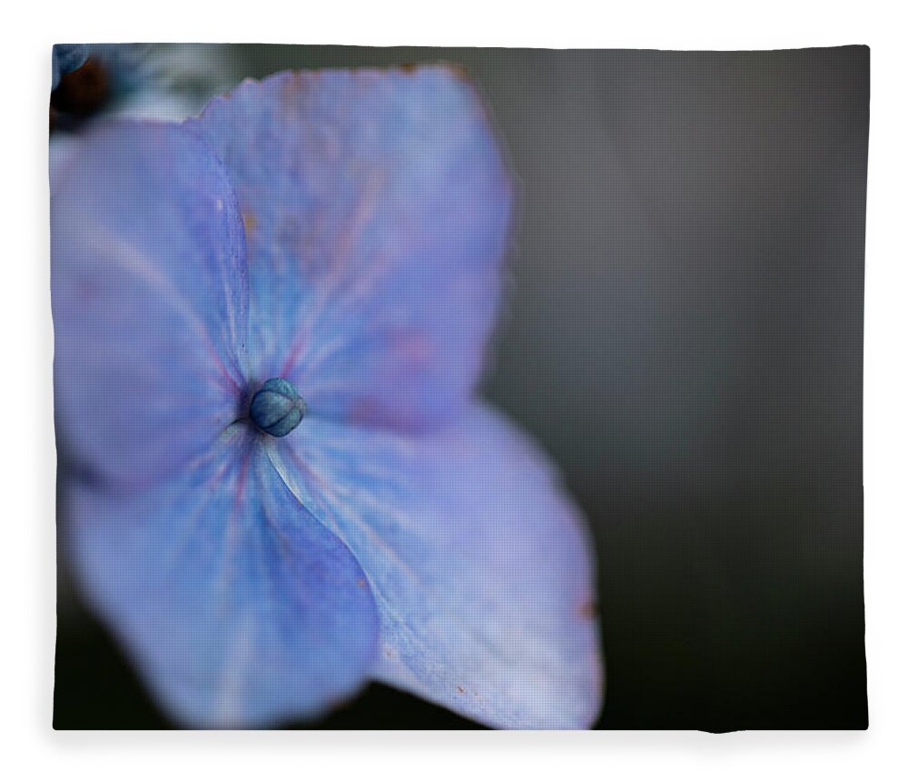 Nyc Fleece Blanket featuring the photograph Flowers of NYC - Blue Lacecap Hydrangea by Marlo Horne