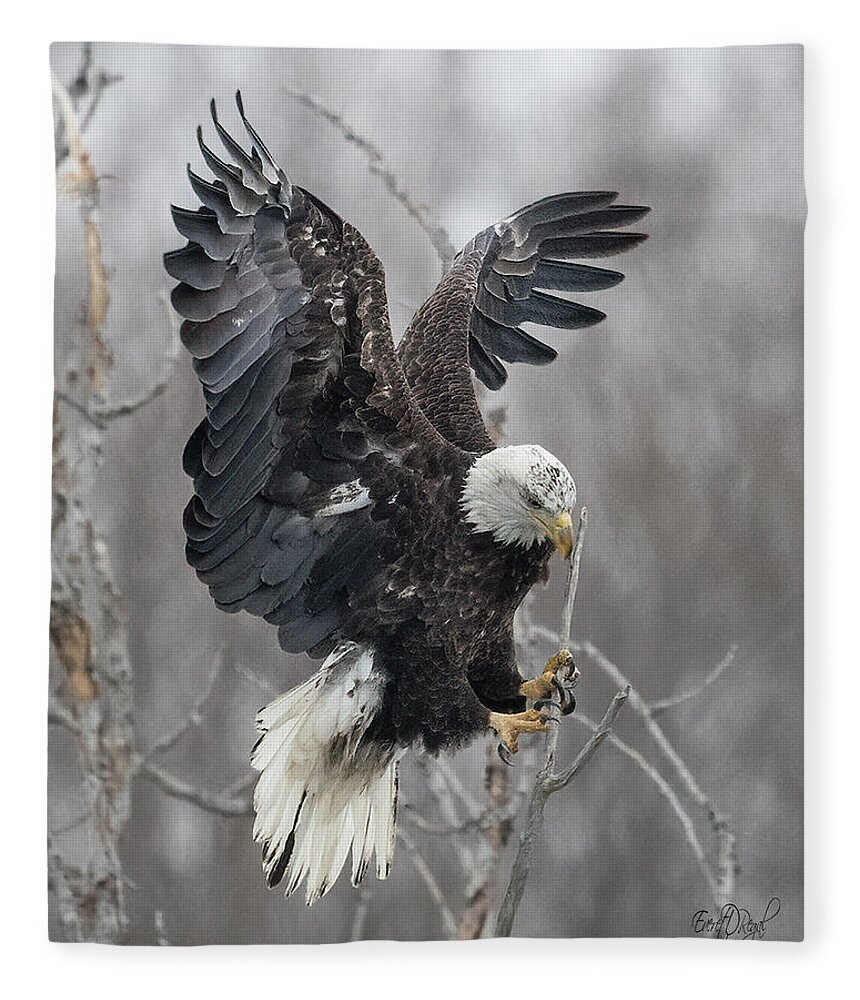 Bald Eagle Fleece Blanket featuring the photograph Flowing Fluid Feathers by Everet Regal