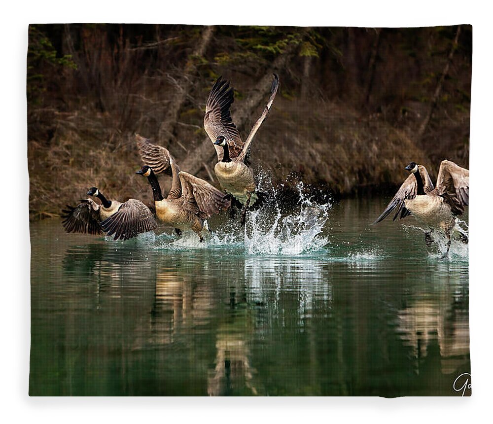 Canada Fleece Blanket featuring the photograph Fly Away Home by Gary Johnson