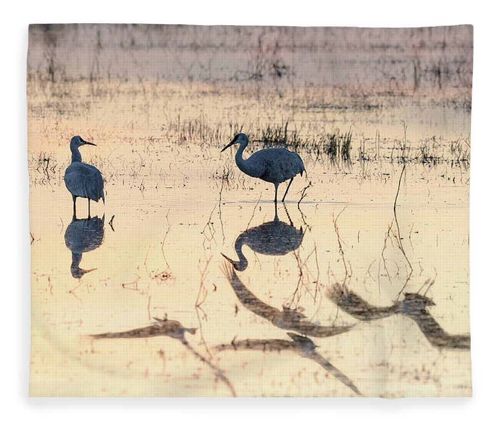 Bosque Del Apache Fleece Blanket featuring the photograph Fly By by Maresa Pryor-Luzier