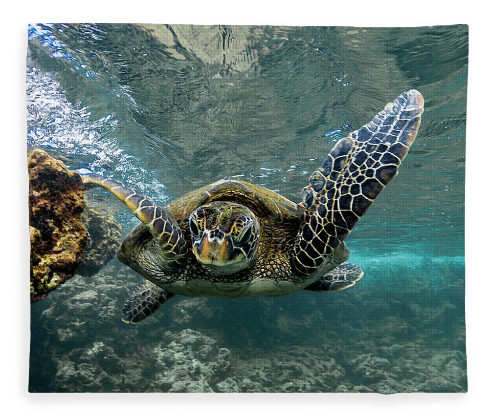 Hawaiian Green Sea Turtle Hawaii Ocean Fleece Blanket featuring the photograph Flying Turtle by Leonardo Dale