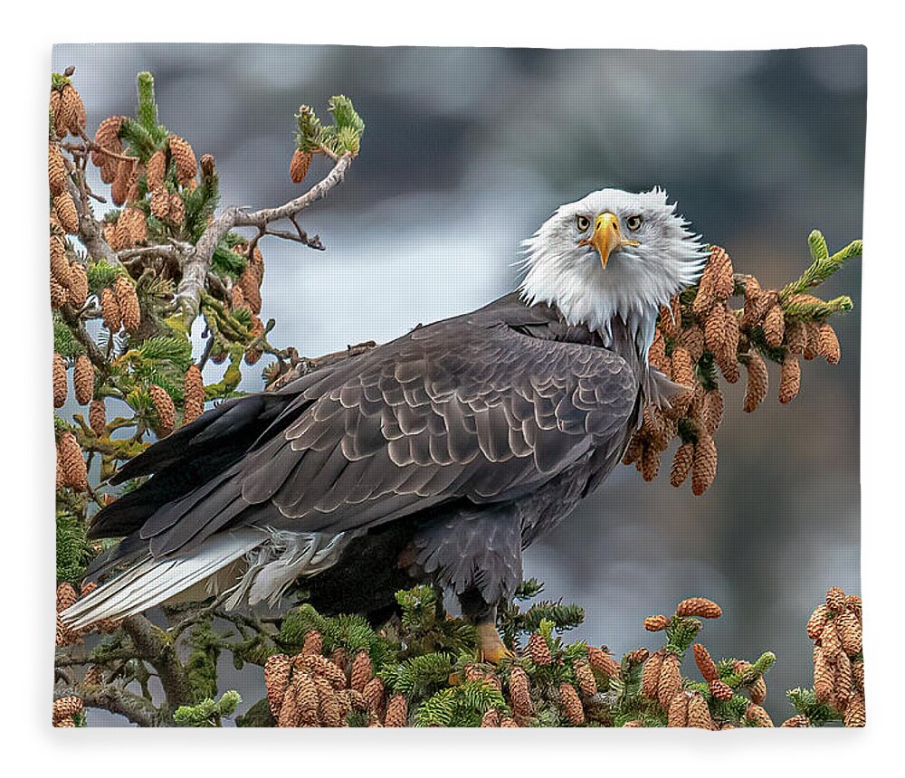 Alaska Fleece Blanket featuring the photograph Focused by James Capo