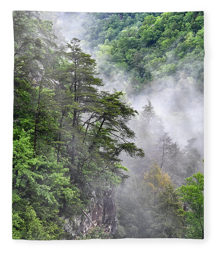 Fall Creek Falls Fleece Blanket featuring the photograph Fog In Valley 2 by Phil Perkins