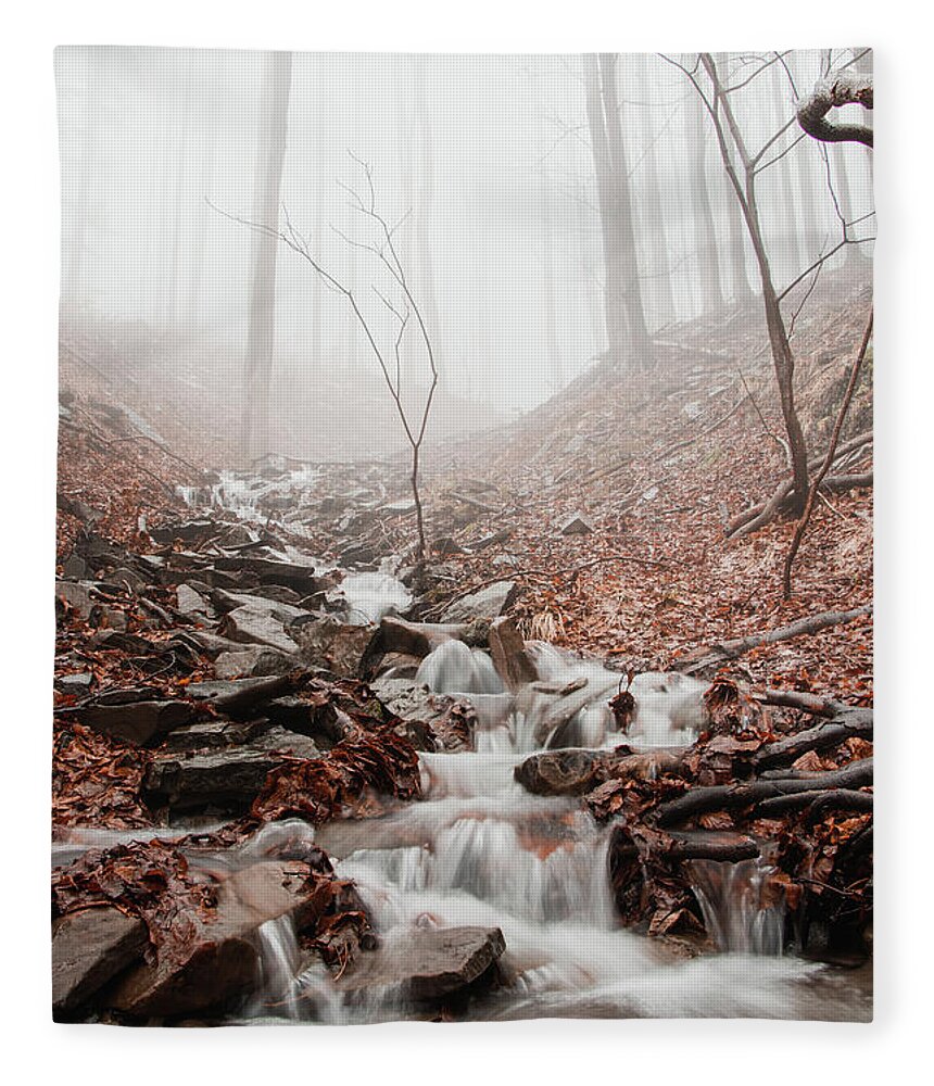 Foggy Fleece Blanket featuring the photograph Foggy morning in a deciduous forest by Vaclav Sonnek