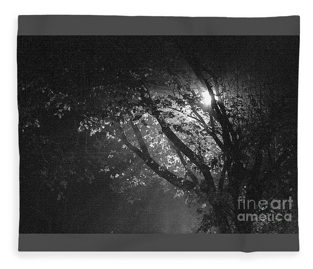 Fog Fleece Blanket featuring the photograph Foggy Tree by Kimberly Furey
