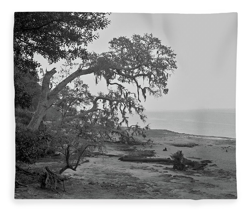 Cumberland Island Fleece Blanket featuring the photograph Foggy trees, Cumberland Island, 1987 by John Simmons