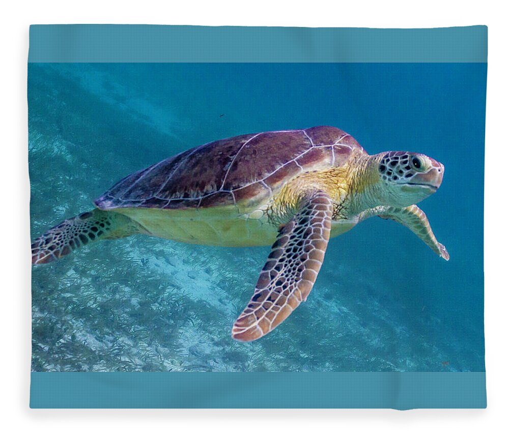 Animals Fleece Blanket featuring the photograph Follow Me by Lynne Browne
