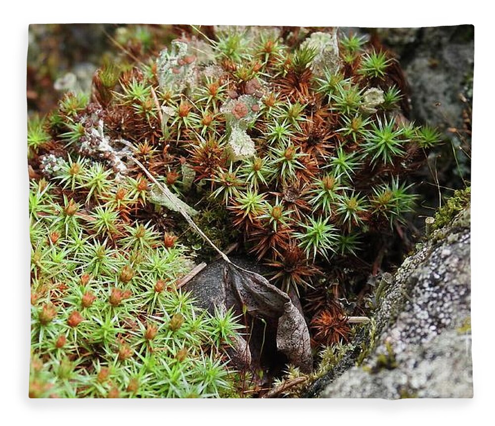 Lichen Fleece Blanket featuring the photograph Forest beauty by Nicola Finch