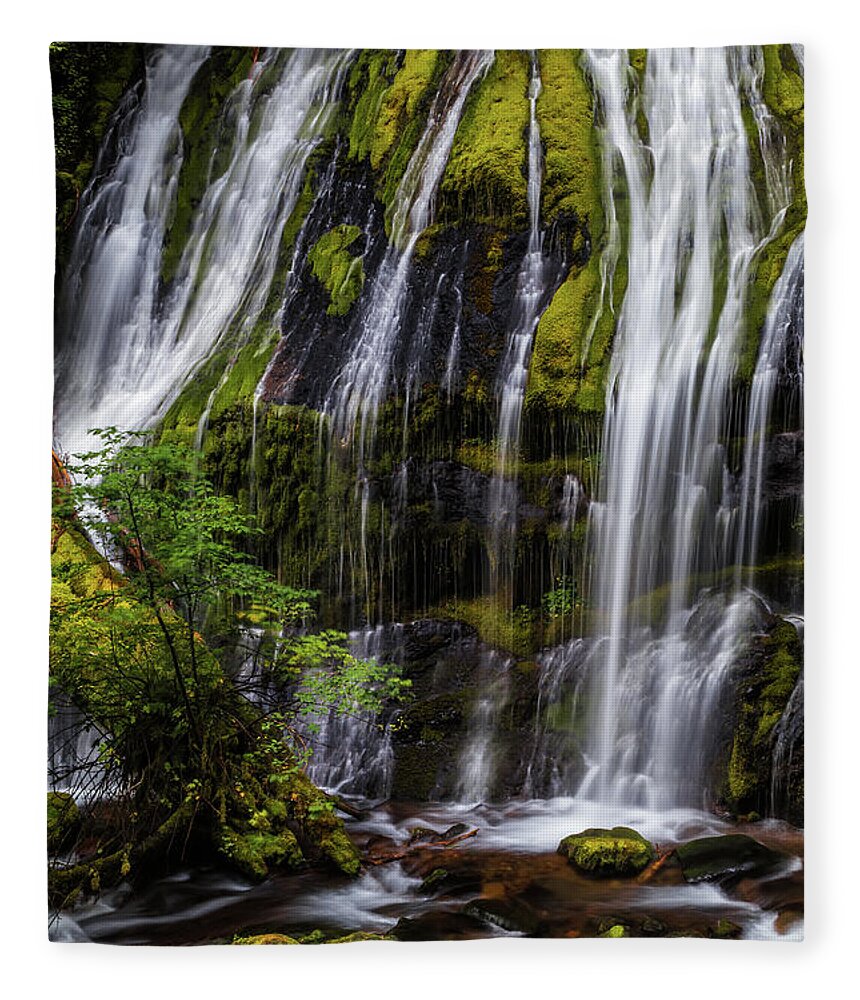 Tree Fleece Blanket featuring the photograph Forest Cascade by Laura Roberts