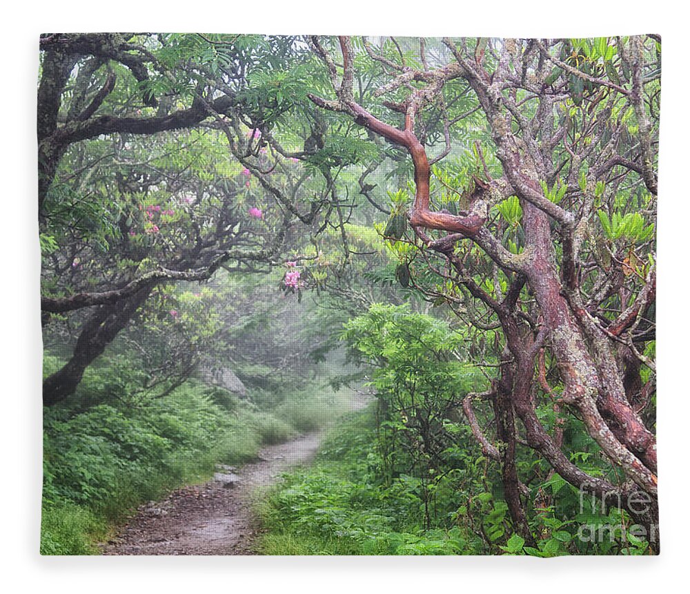 Craggy Gardens Fleece Blanket featuring the photograph Forest Fantasy by Blaine Owens