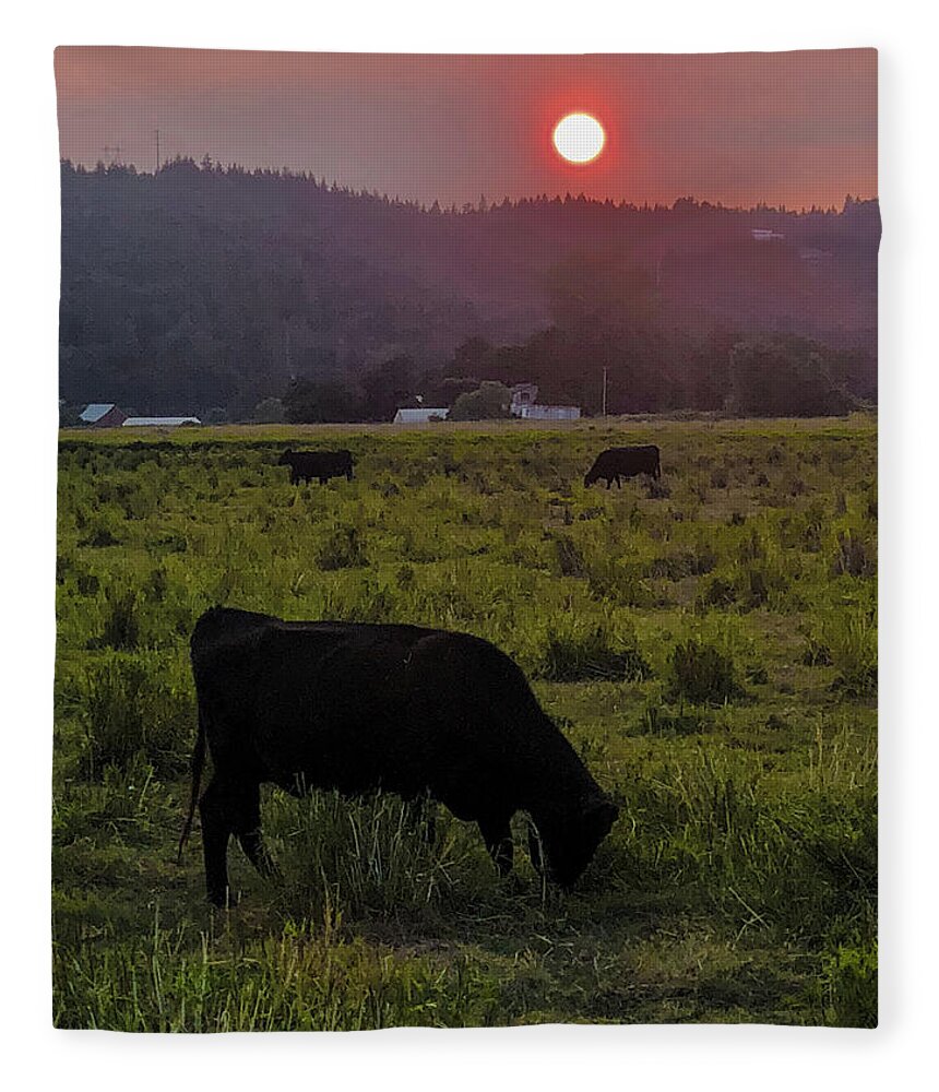 Forest Fleece Blanket featuring the photograph Forest Fire Haze by Grey Coopre