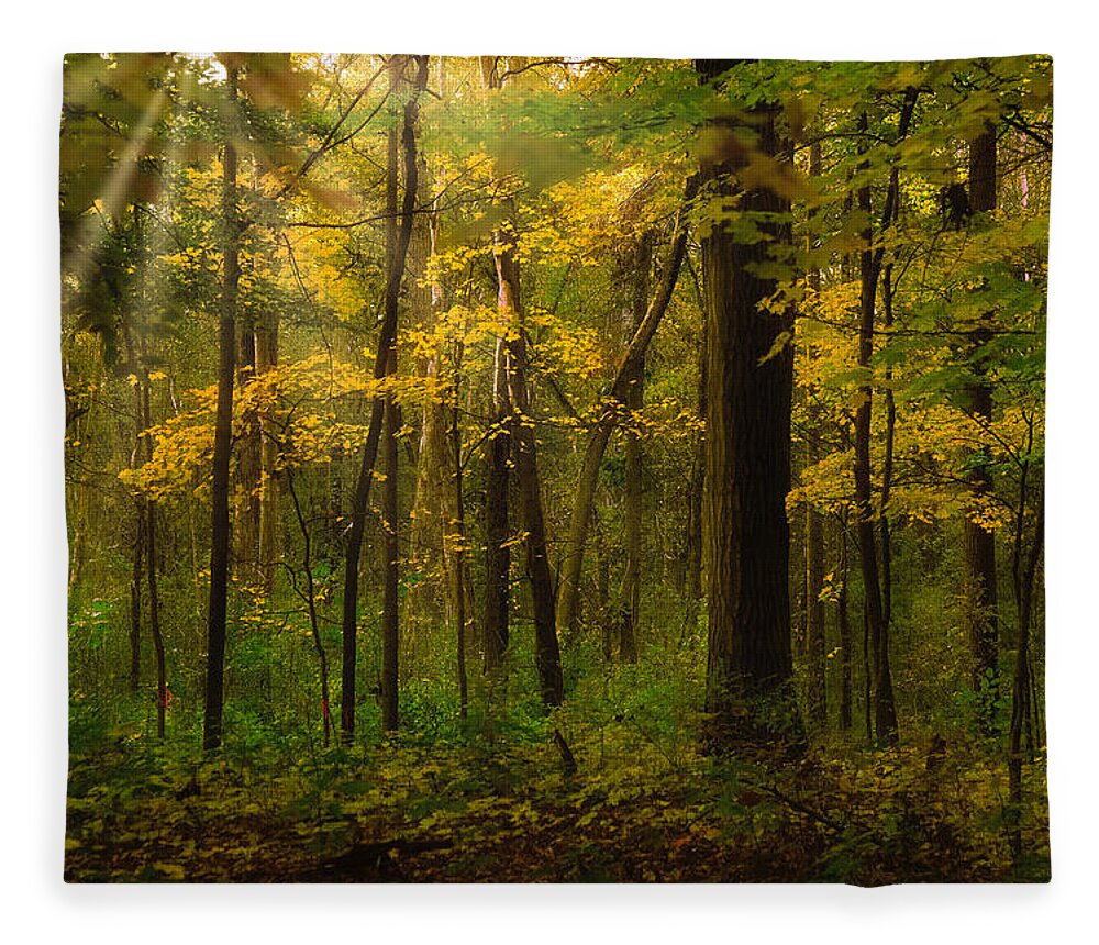 Fall Colors Fleece Blanket featuring the photograph Forest glow by Jim Signorelli