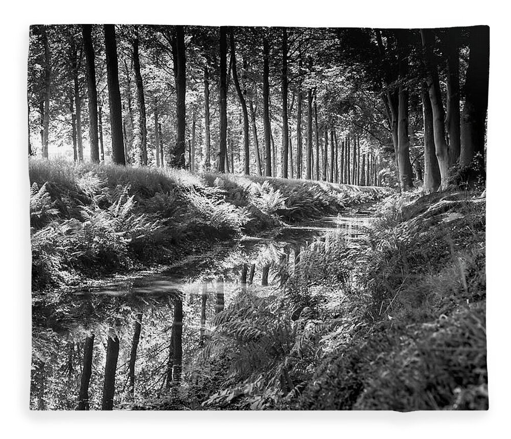 Black&white Fleece Blanket featuring the photograph Forest by MPhotographer